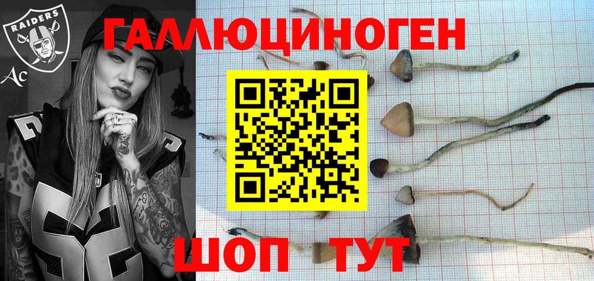 Елец  Псилоцибиновые грибы мухоморы  Вход с VPN 